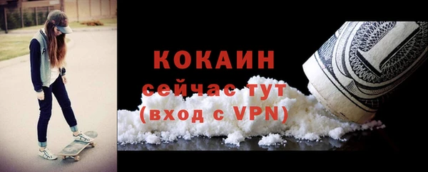 крисы Богородицк