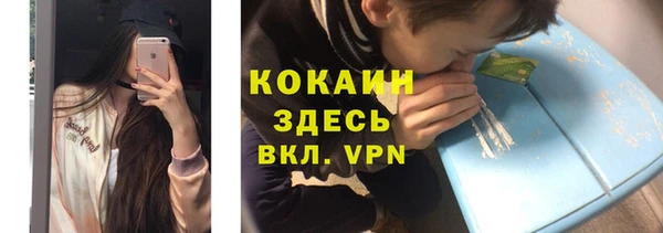 крисы Богородицк