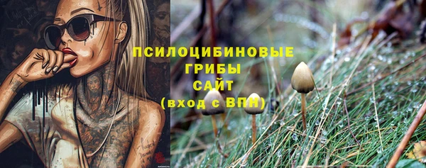 крисы Богородицк