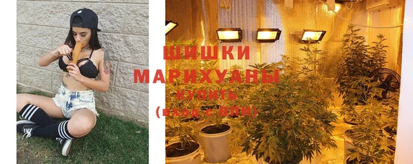 крисы Богородицк