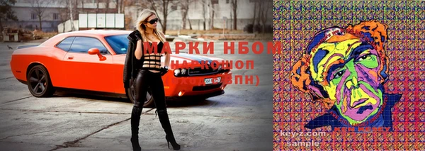 крисы Богородицк