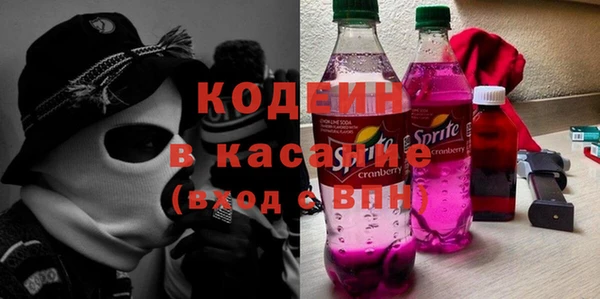 крисы Богородицк