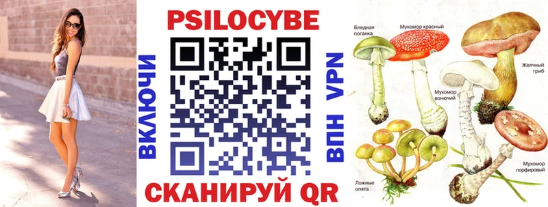 ссылка на мегу рабочий сайт  Дивногорск  Псилоцибиновые грибы MAGIC MUSHROOMS 